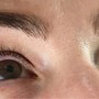 Eyebrow Wax and Tint