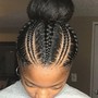 Small feed in braided ponytail