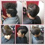 Basic Clipper cut