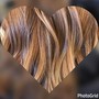 Full Highlights, Women's Cut