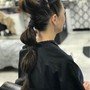 Ponytail/Bun