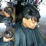 Transitioning Cut