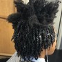 Comb Twist/ Starter locs