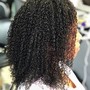 Comb Twist/ Starter locs