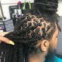 Comb Twist/ Starter locs