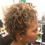 Short Starter Locs