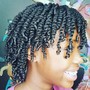 Natural Hair Plaits/Braids