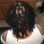 Butterfly locs Touch up