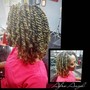 Braid/Extension Shampoo and Conditioner Services