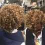 Virgin Brazilian Loose Kinky Curl