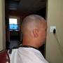 Bald Cut