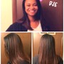 Single Process / Color Root Touch Up Only