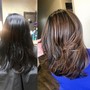 Partial Highlights With Shadow Root