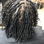 Retwist W/ Detox Cleanse + Conditioner Treatment