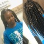 Kids Braids (Natural Hair)