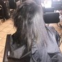 Root Touch Up