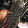 Braids and Twists  (Natural Hair)