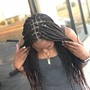 Starter Locs /Comb Twist/two Strand