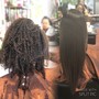 Root Touch Up + Style