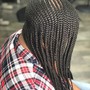 (Med) Traditional Box Braids.