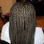 Feed in braids w/box braids