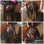 Long /mid back Locs  Loc retwist and style