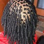 Loc Retwist