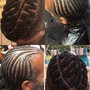 Starter Locs/comb twist