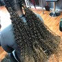 Root Touch Up