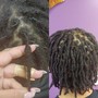 Root Touch Up