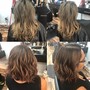 Partial Highlights