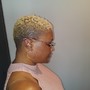 Beauty For Ashes Makeover (Natural Hair): All Over Color, Silk Press, Women's Cut