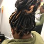 Starter locs