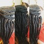 Box Braids