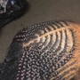 Comb Twist