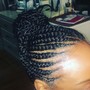 Feed-in Braids