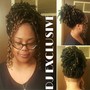 Individual Afro Kinky Twists