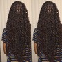 Crochet (Braids, twists etc)