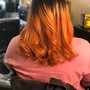 Bundle Coloring Ombre