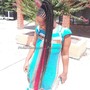 Medium Senegalese Twist mid back