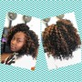 Shampoo and Deep Conditioning Treatment