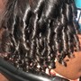 Crochet Braids….ONLY TWISTS OR BRAIDS.