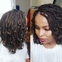 Havana Twists