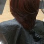 Permanent Color Application with highlights and lowlights class