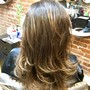 Full Head Balayage/High Lights