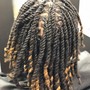 Dreadlock starters shoulder length