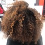 Root Touch Up