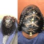 Feed-ins /Braids