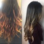 Partial Highlights with Olaplex Treatment