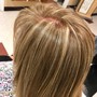 Senior Partial Highlights with Retouch (9-12 foils)